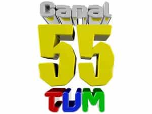 The logo of Canal 55 TVM