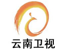 Yunnan TV 1 logo
